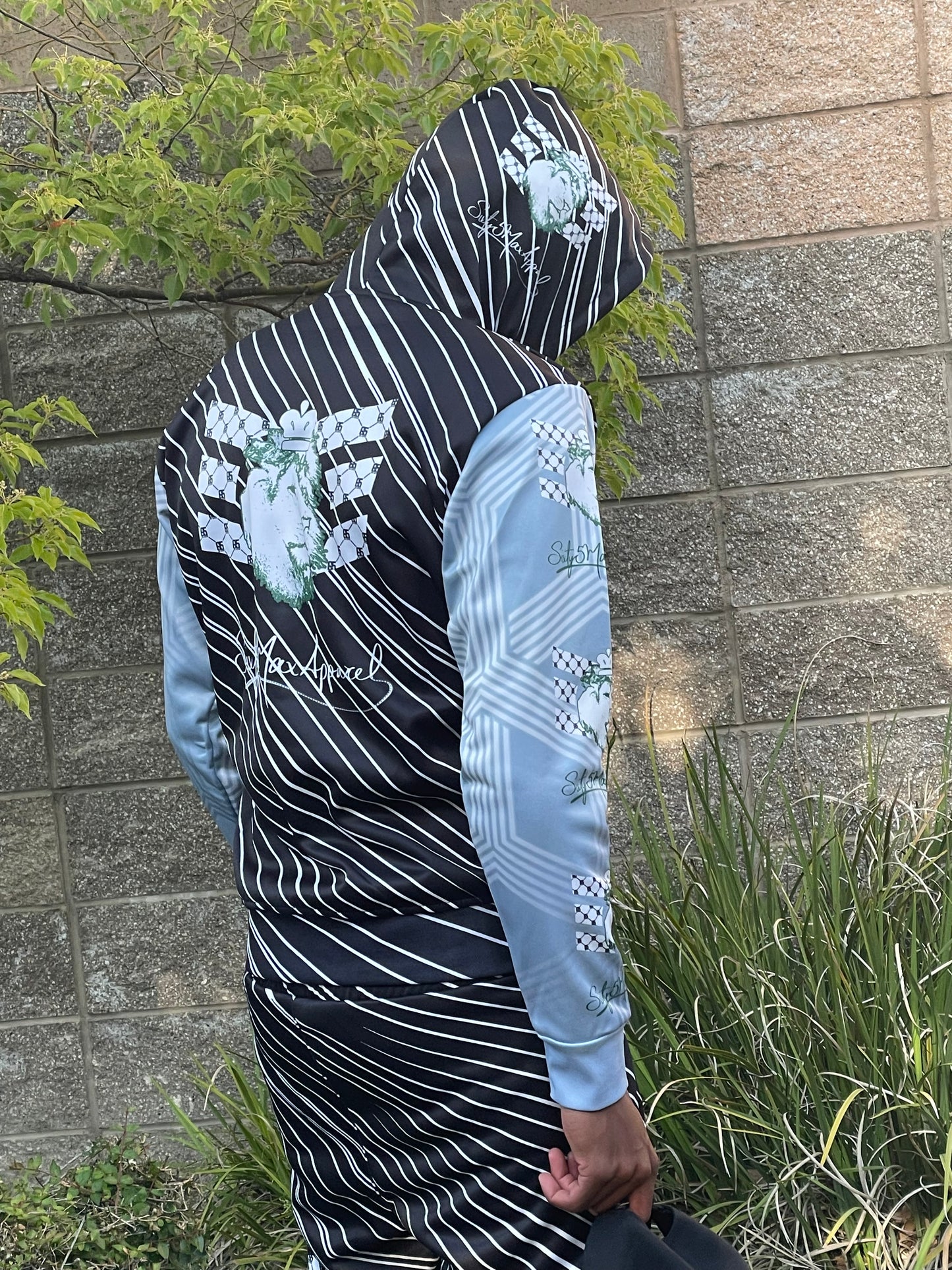 Lion Hoodie Sweat Suit